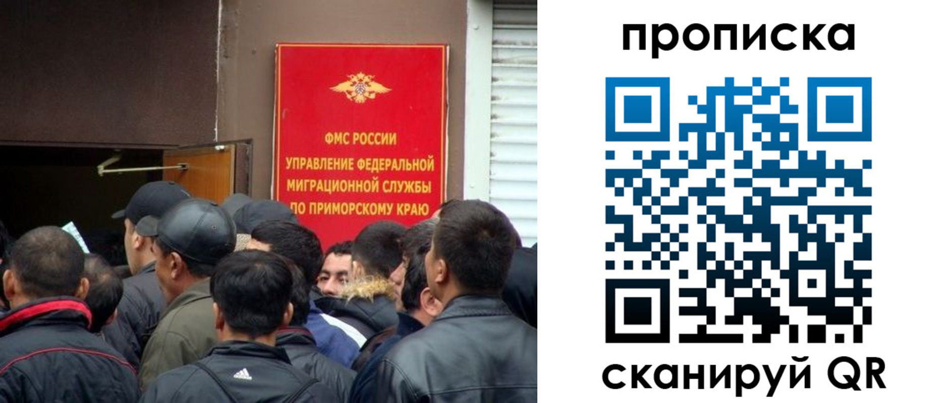 временная регистрация гарантия в Владимире
